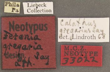 Media type: image;   Entomology 33022 Aspect: labels